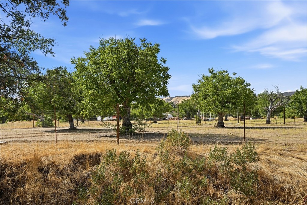 2875 Old Highway 53 Property Photo 46