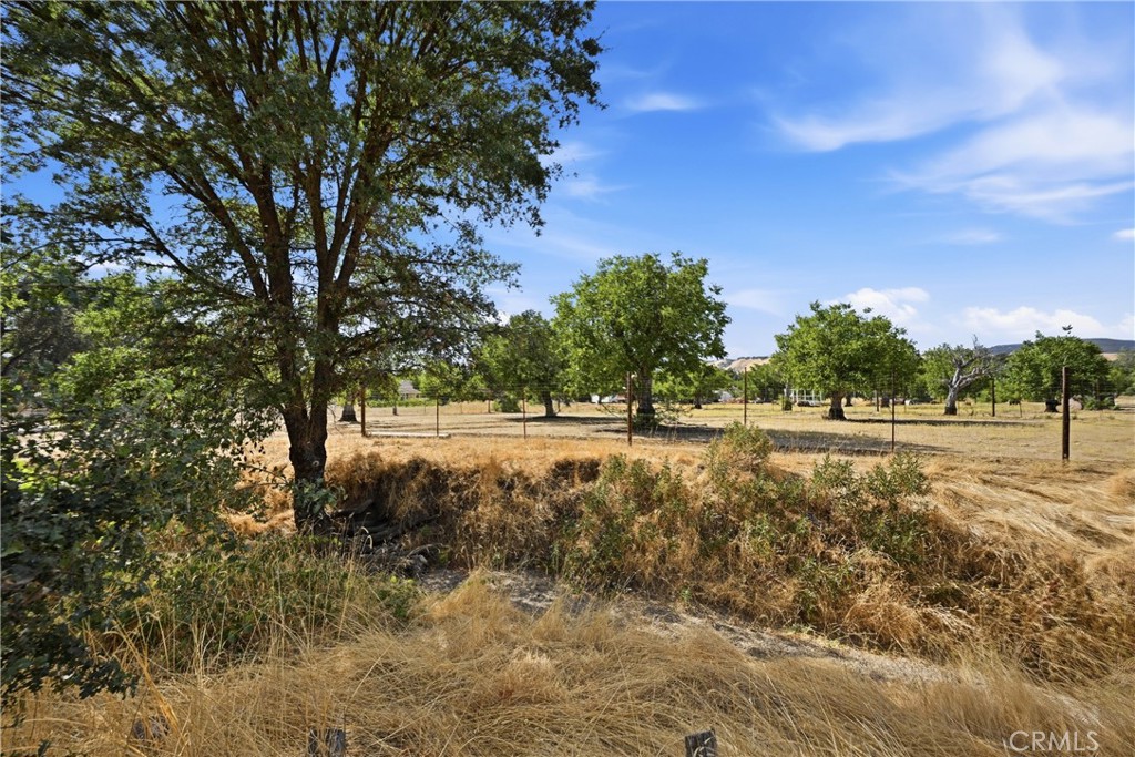 2875 Old Highway 53 Property Photo 47