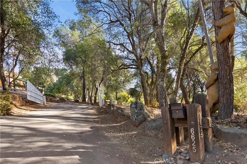 6625 Soda Bay Road Property Photo 5