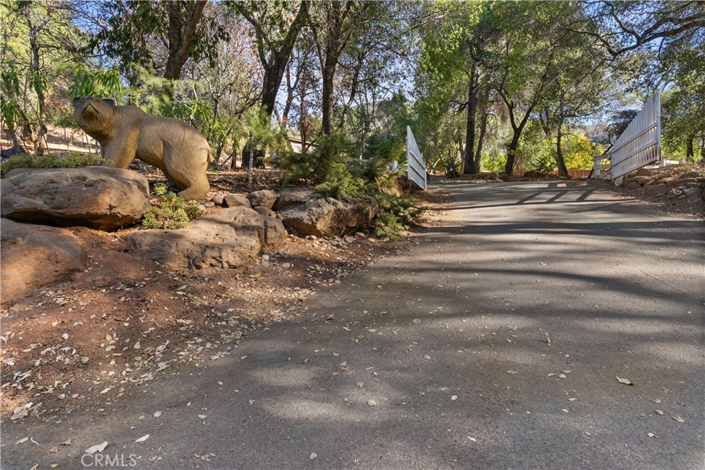 6625 Soda Bay Road Property Photo 7