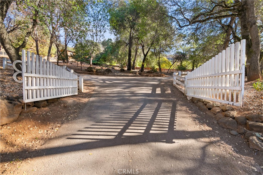 6625 Soda Bay Road Property Photo 8