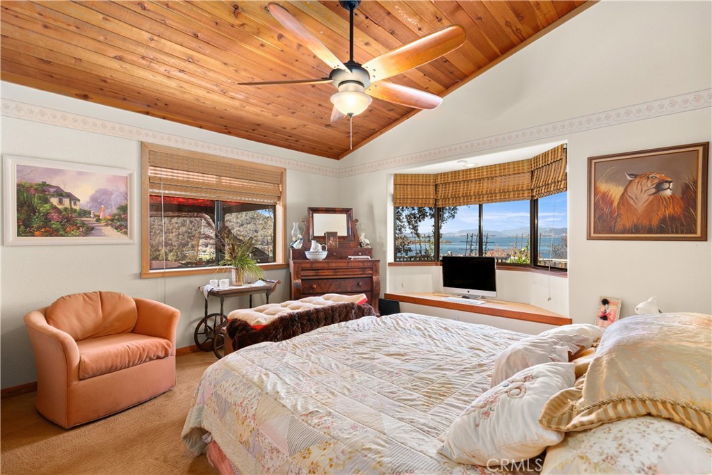 6625 Soda Bay Road Property Photo 26