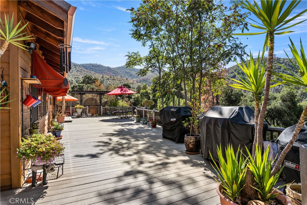 6625 Soda Bay Road Property Photo 39