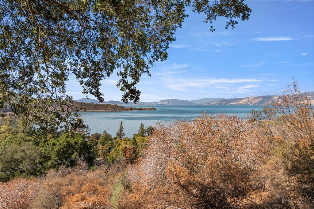 6625 Soda Bay Road Property Photo 45