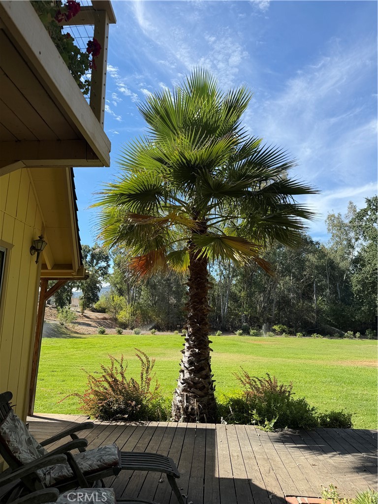6733 Live Oak Drive Property Photo 3