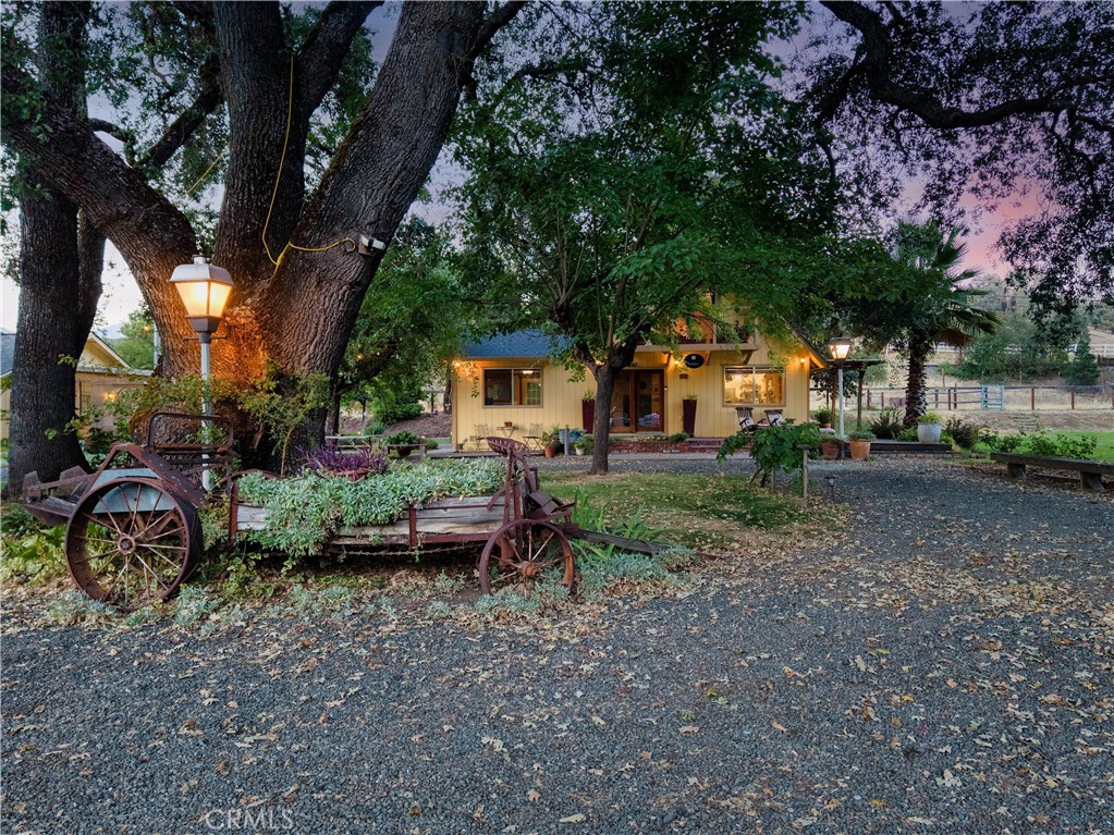 6733 Live Oak Drive Property Photo 7