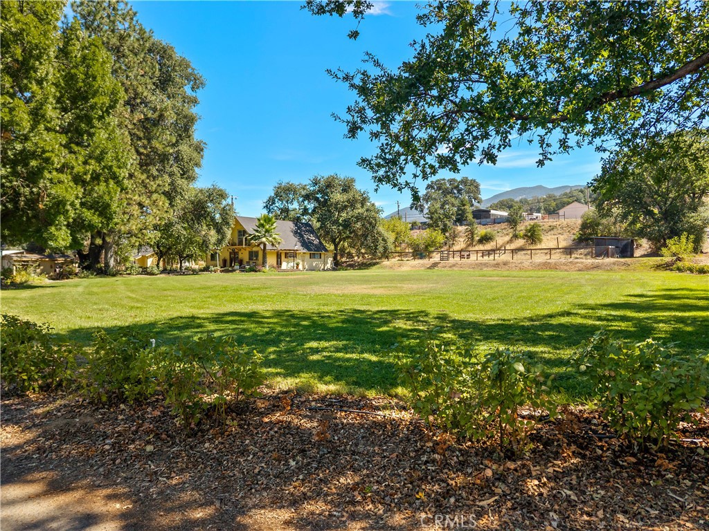 6733 Live Oak Drive Property Photo 62