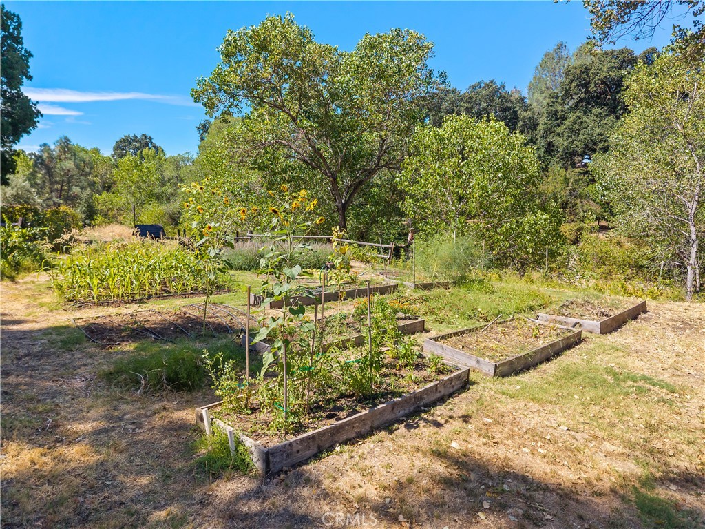 6733 Live Oak Drive Property Photo 66