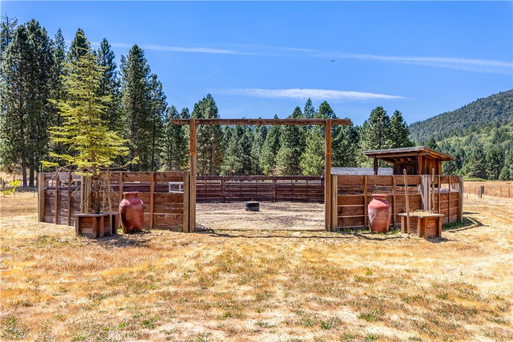 9679 Salmina Road Property Photo 6