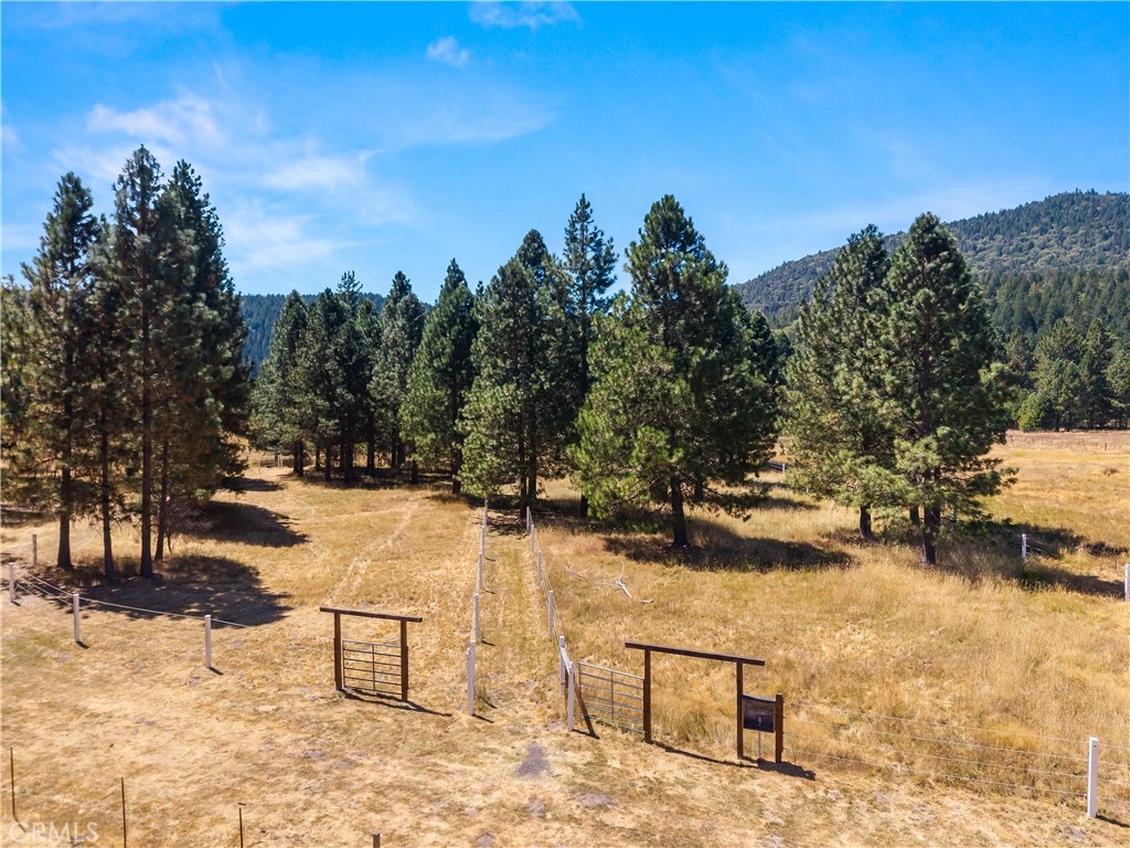 9679 Salmina Road Property Photo 45