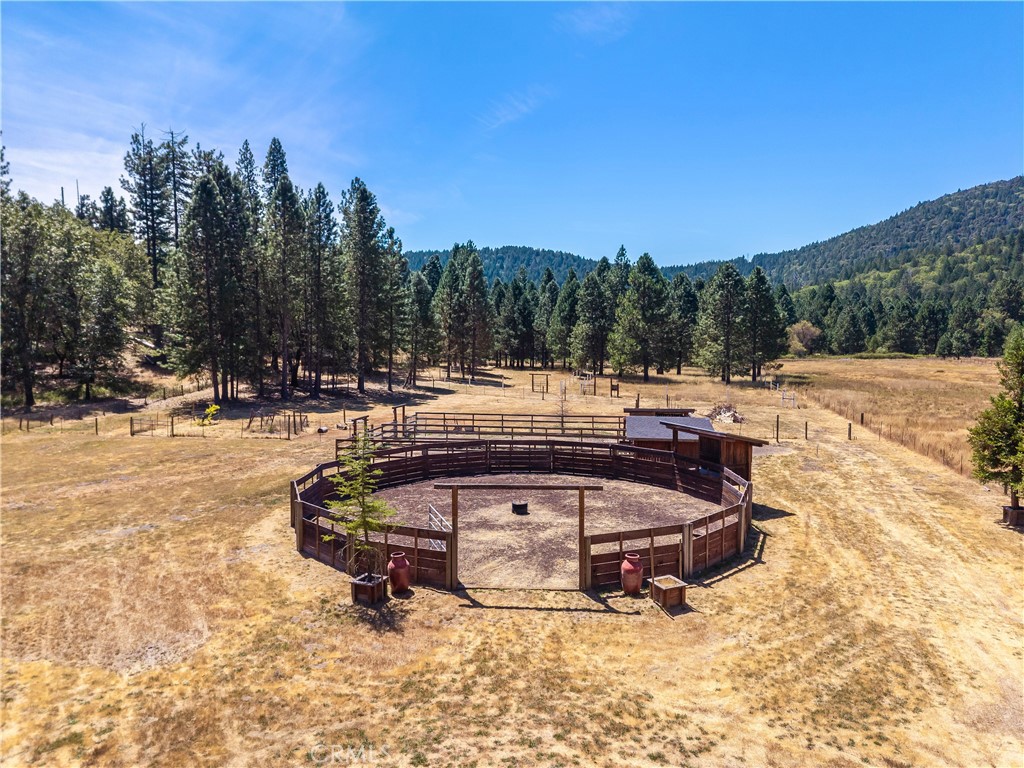 9679 Salmina Road Property Photo 47