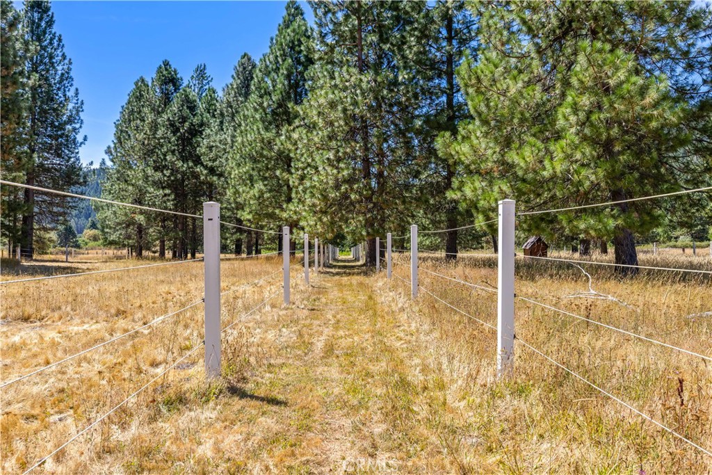9679 Salmina Road Property Photo 48