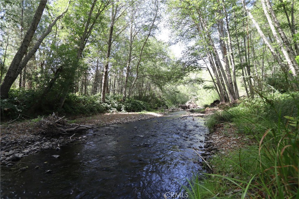 13095 Bottle Rock Property Photo 5