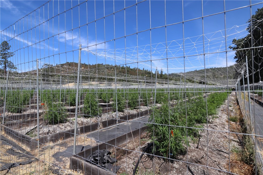 13095 Bottle Rock Property Photo 16