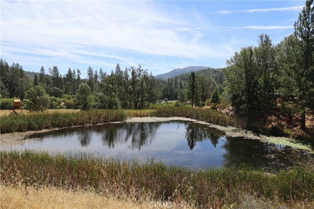 13095 Bottle Rock Property Photo 17