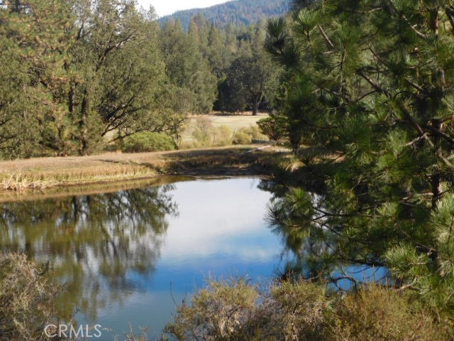 13095 Bottle Rock Property Photo 26