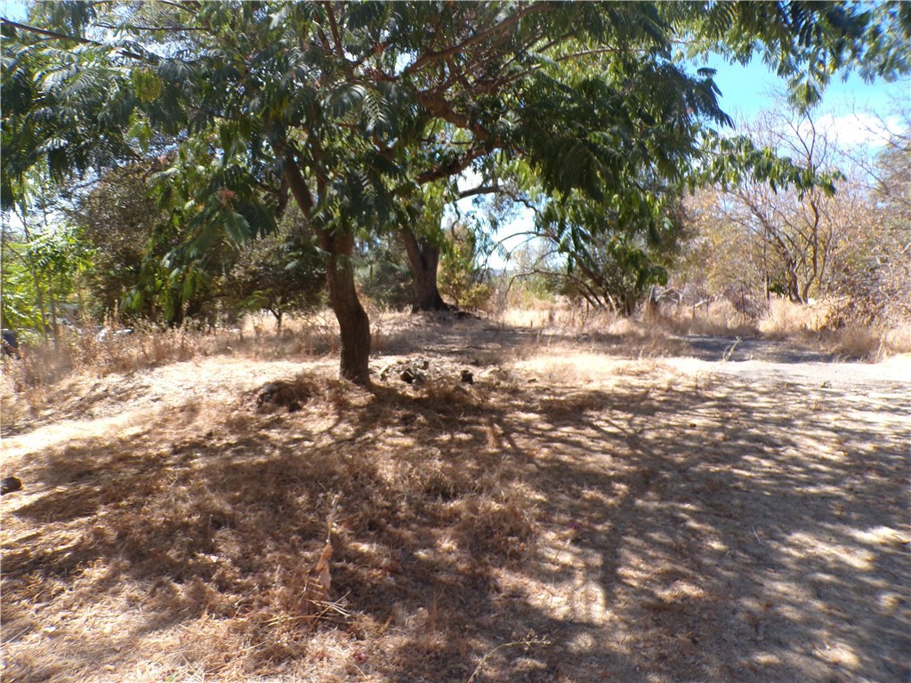 14176 Lupoyoma Street Property Photo 1