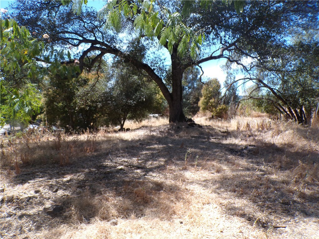 14176 Lupoyoma Street Property Photo 2