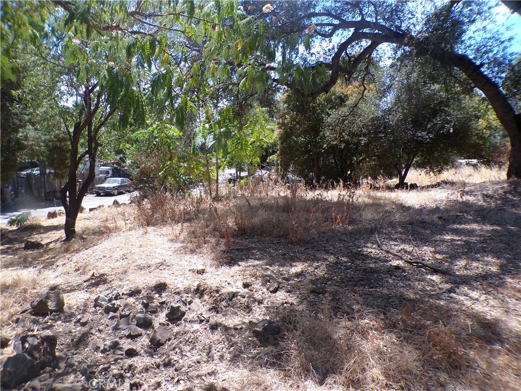 14176 Lupoyoma Street Property Photo 3
