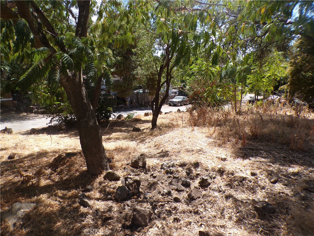 14176 Lupoyoma Street Property Photo 4