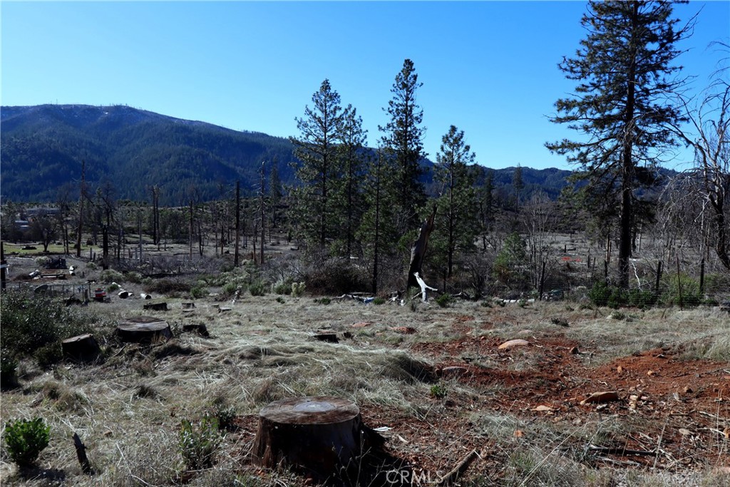 14937 Hoberg Drive Property Photo 1