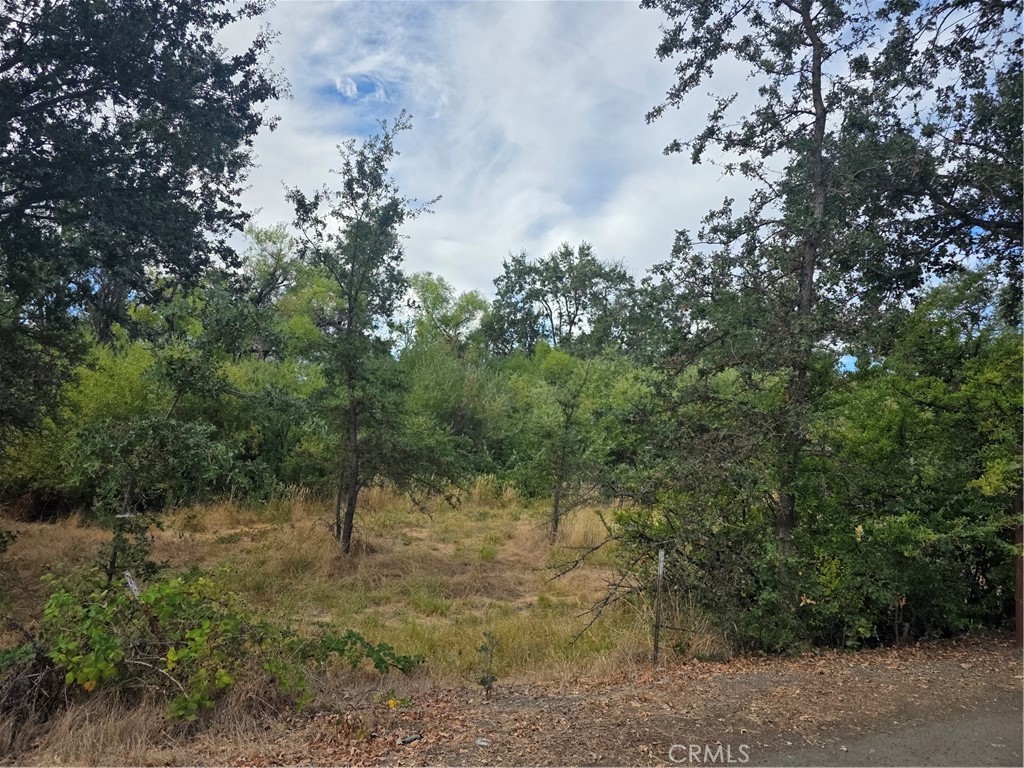 1217 Berry Property Photo 1