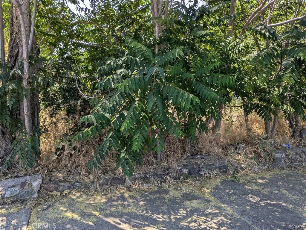 220 4th Street Property Photo 5