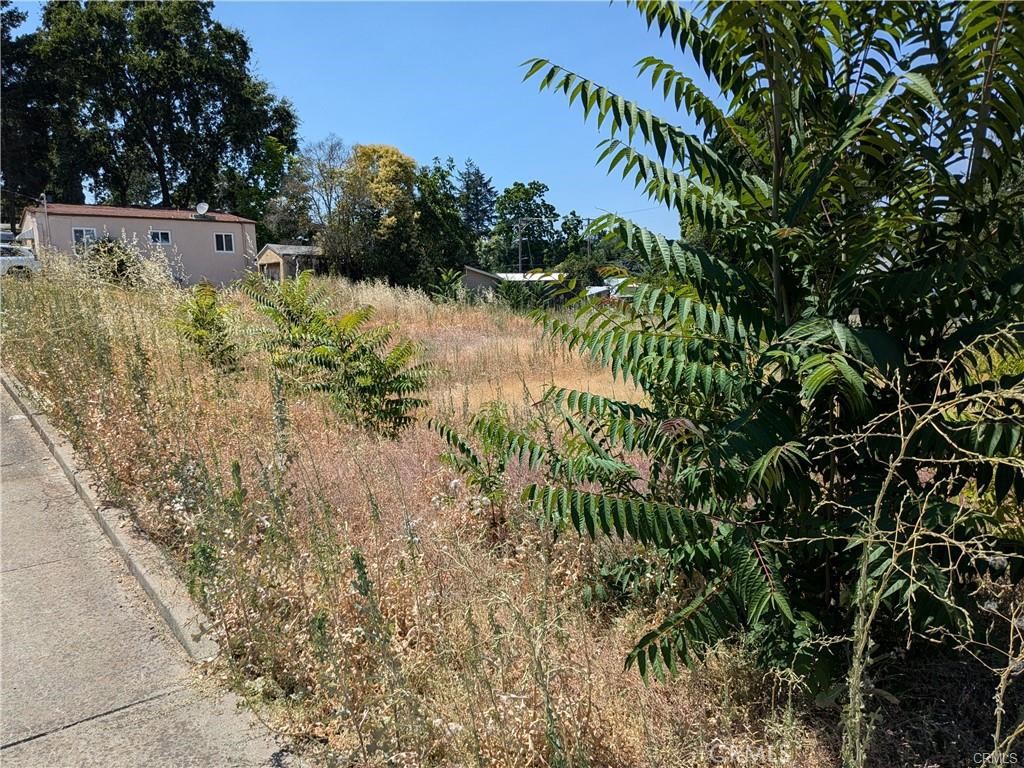 455 N Forbes Street Property Photo 4