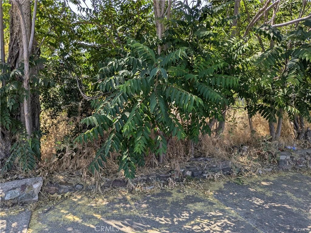 455 N Forbes Street Property Photo 5