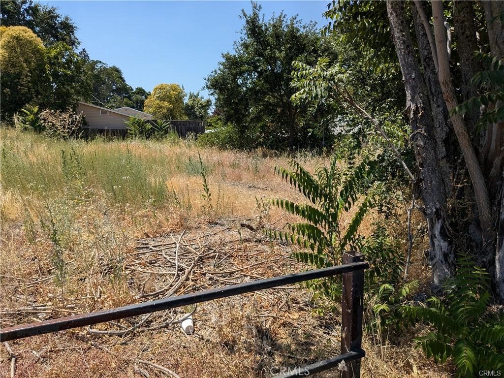 455 N Forbes Street Property Photo 6