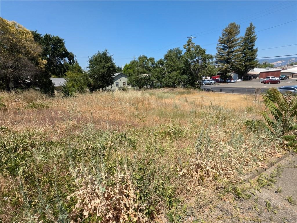 455 N Forbes Street Property Photo 10