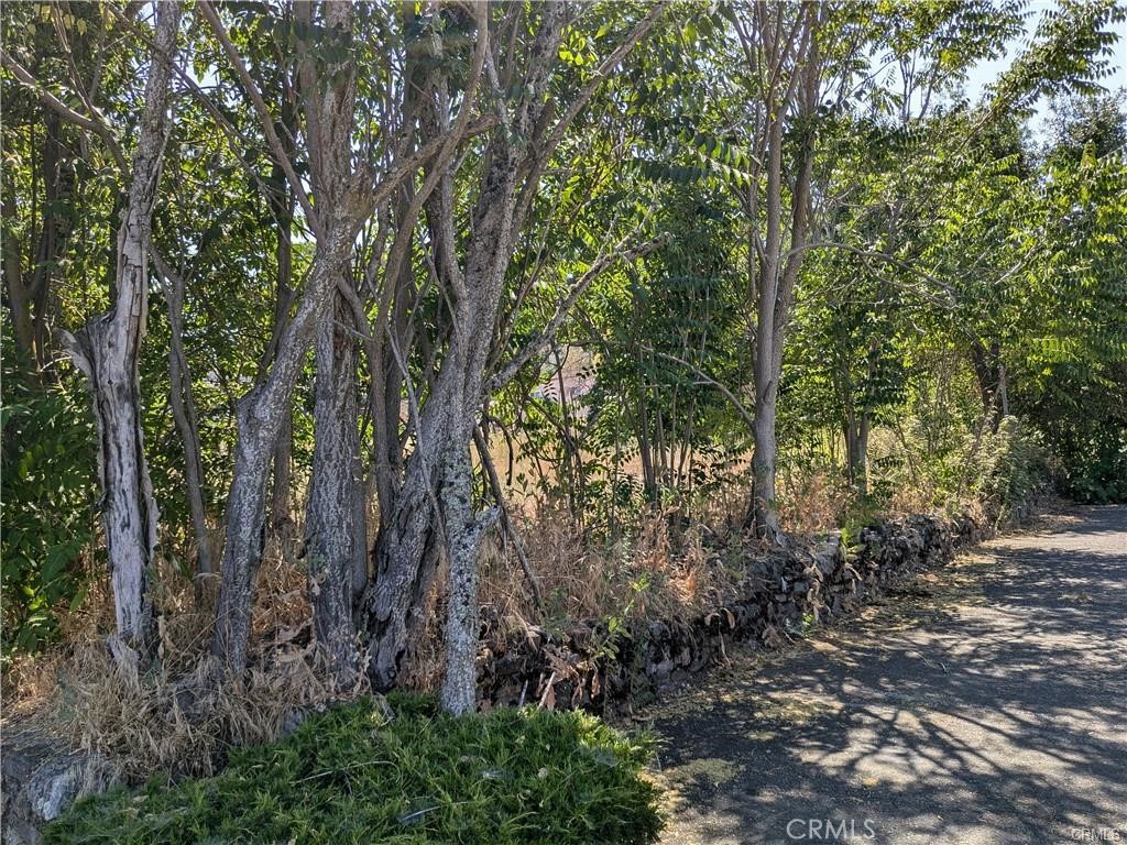 455 N Forbes Street Property Photo 16