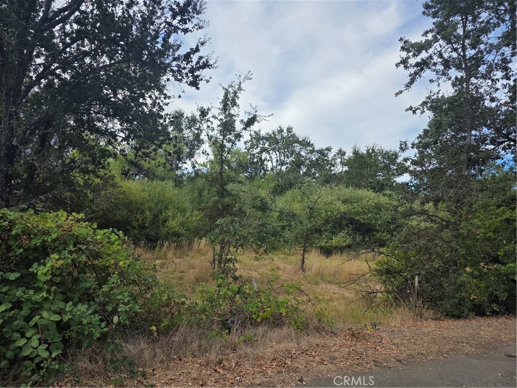 1233 Berry Property Photo 1