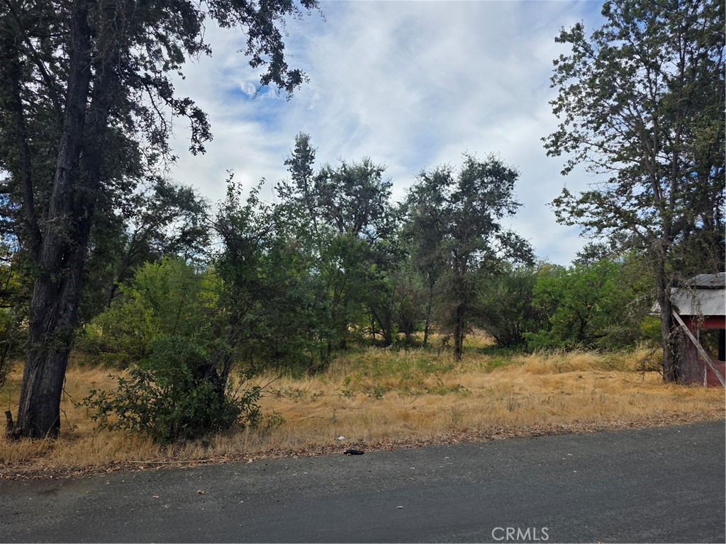 1241 Berry Property Photo 1