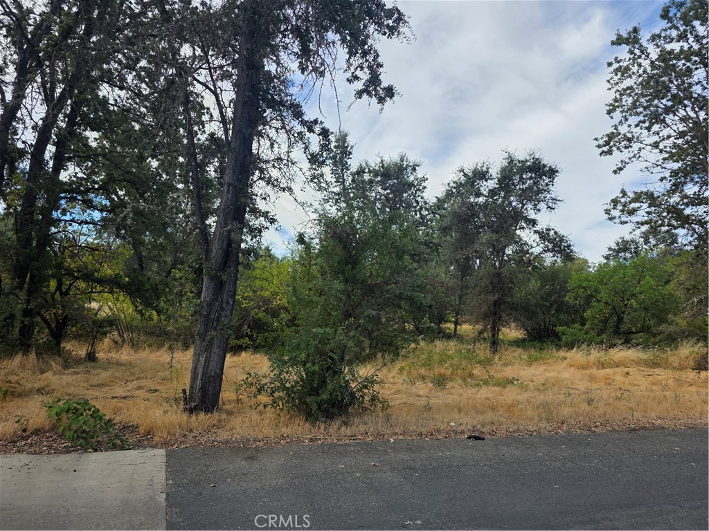 1257 Berry Property Photo 1