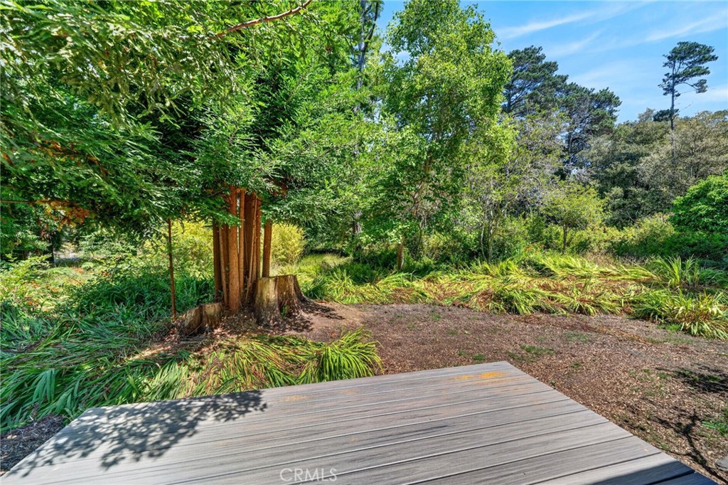 16901 Boice Property Photo 19