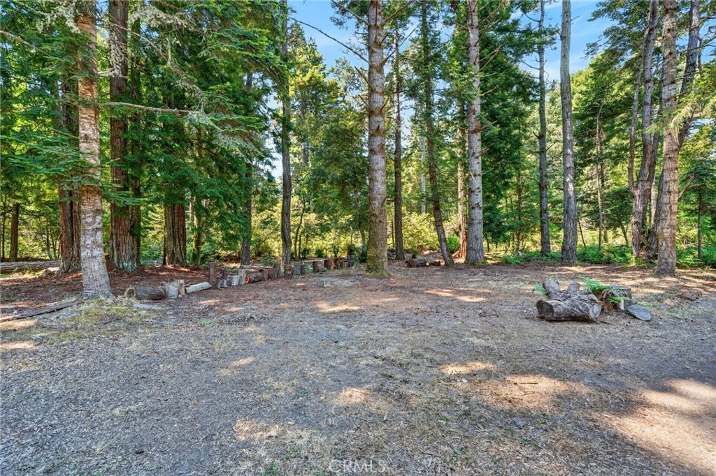 16901 Boice Property Photo 23