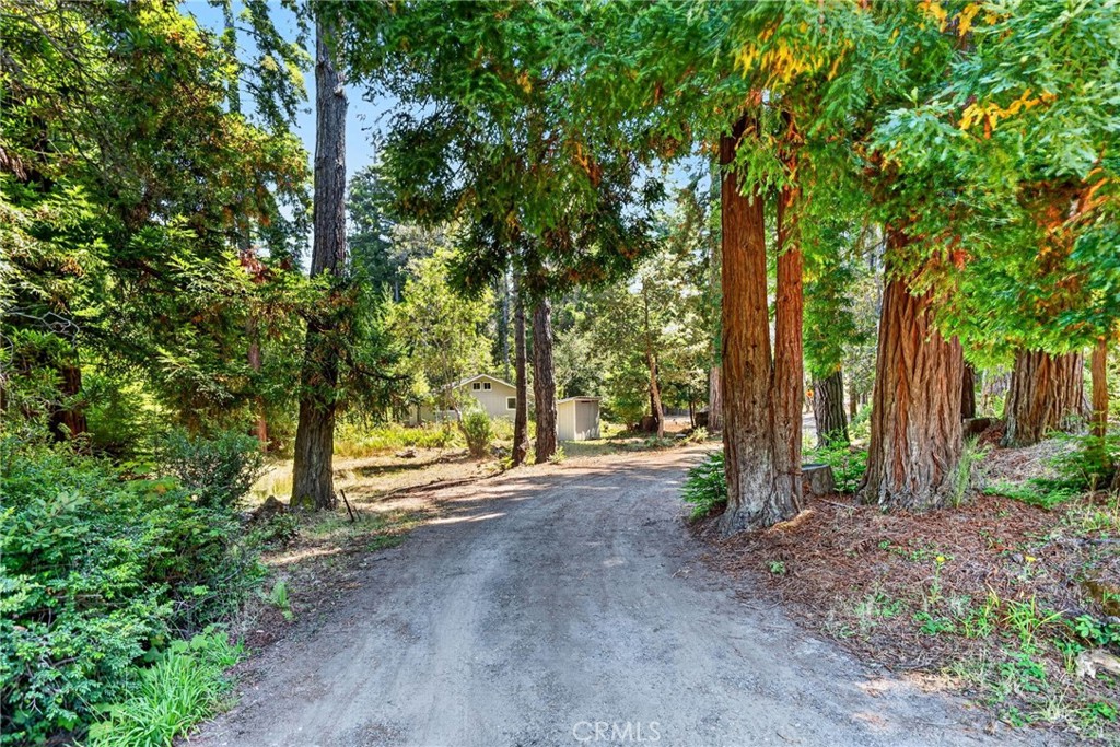 16901 Boice Property Photo 28