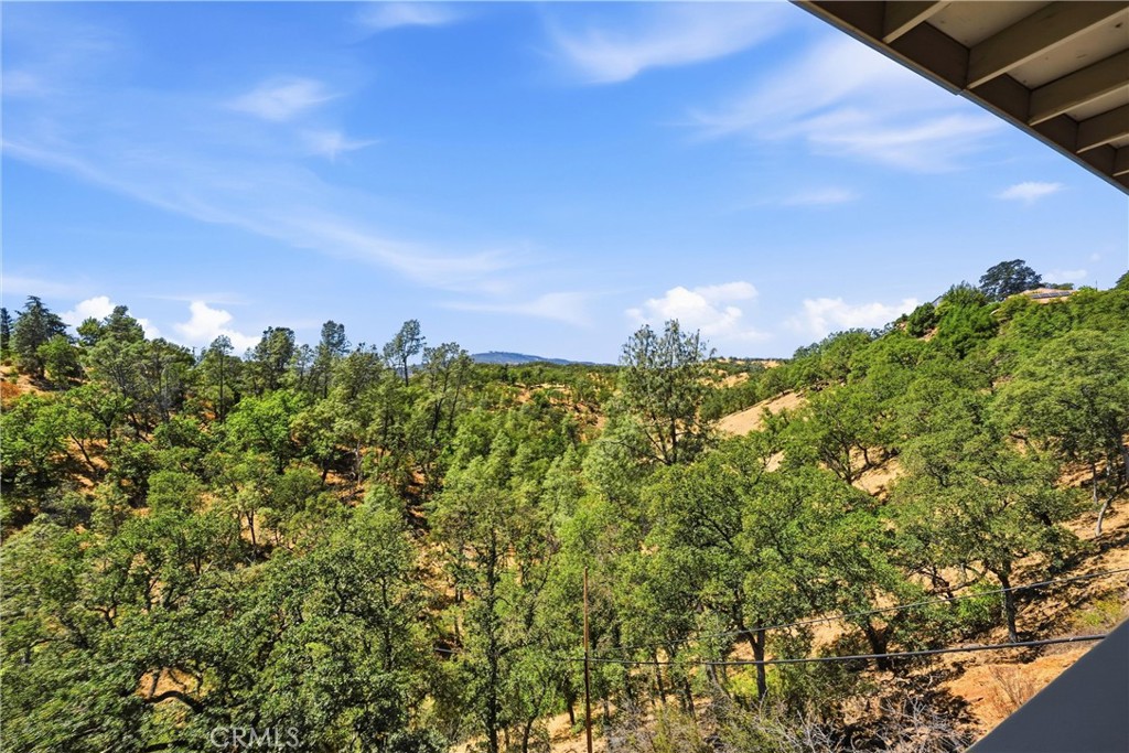 18317 N Shore Property Photo 54