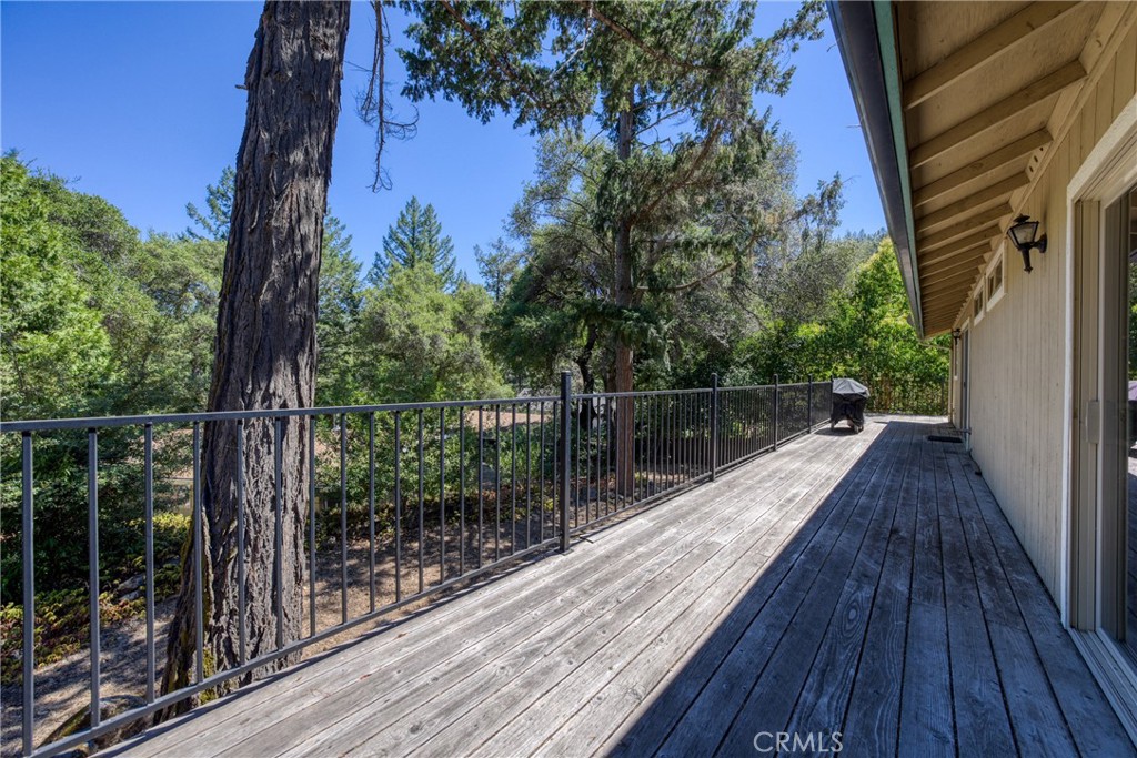 8100 Soda Bay Road Property Photo 41