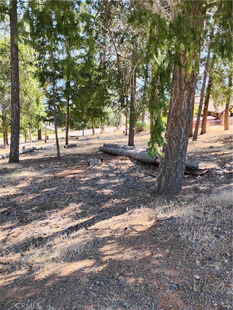 3556 Meadow Wood Property Photo 1