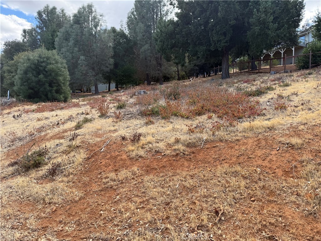 4515 Idlewood Property Photo 6