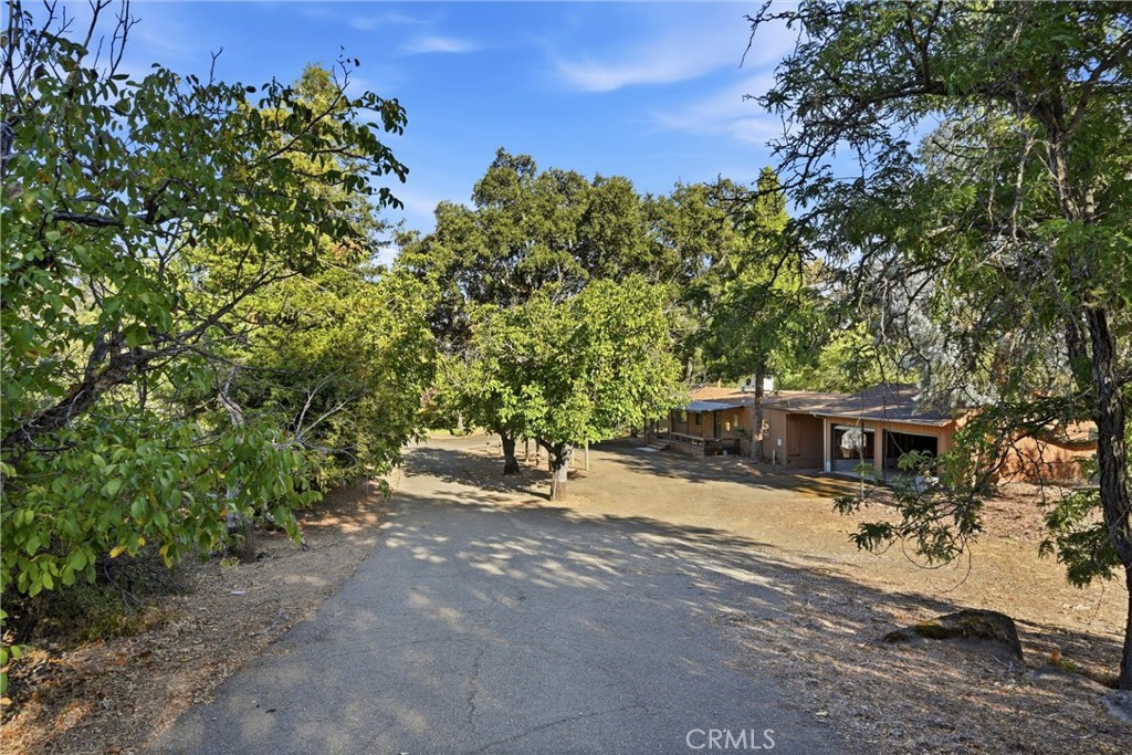 8968 Soda Bay Property Photo 56