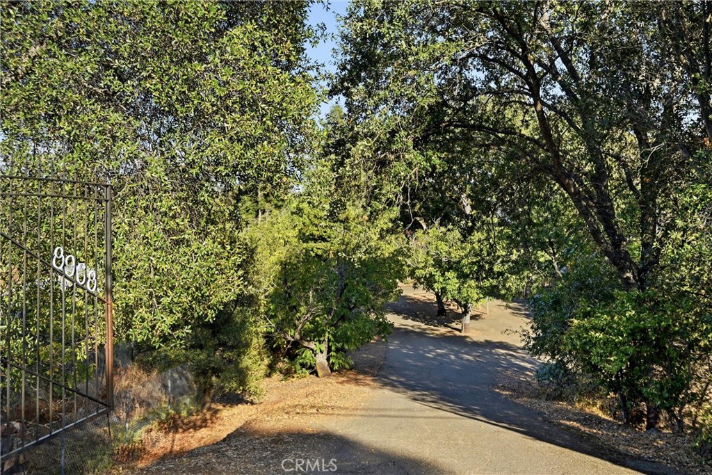 8968 Soda Bay Property Photo 58