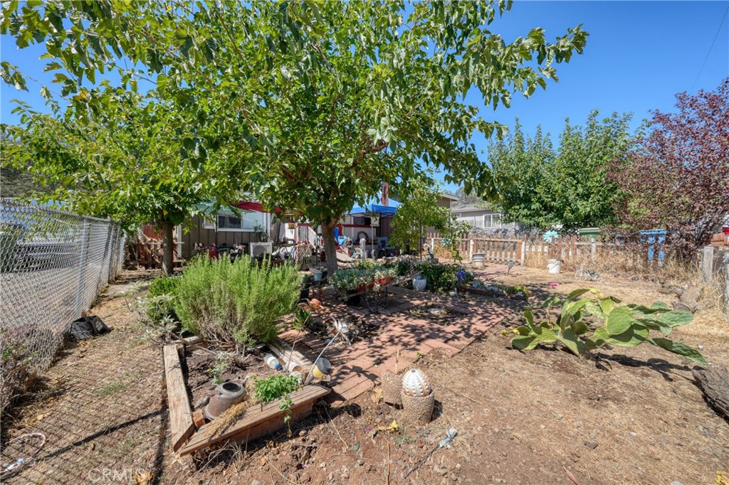 4113 Spruce Property Photo 6