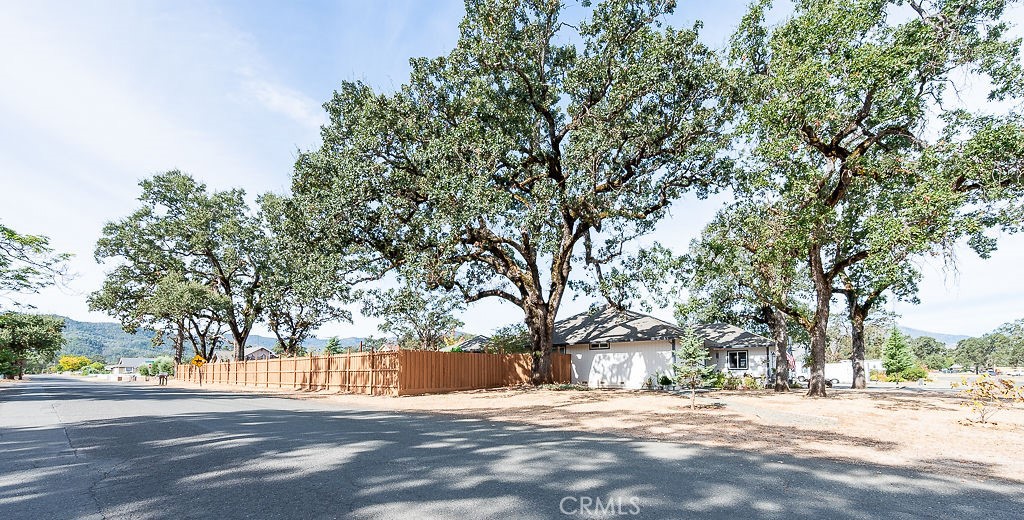 15255 Timm Way Property Photo 4
