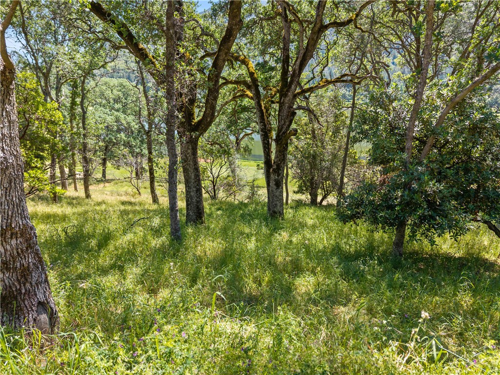 8239 Little Borax Lake Rd Property Photo 2