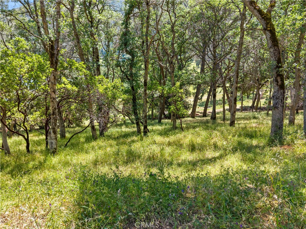 8239 Little Borax Lake Rd Property Photo 4