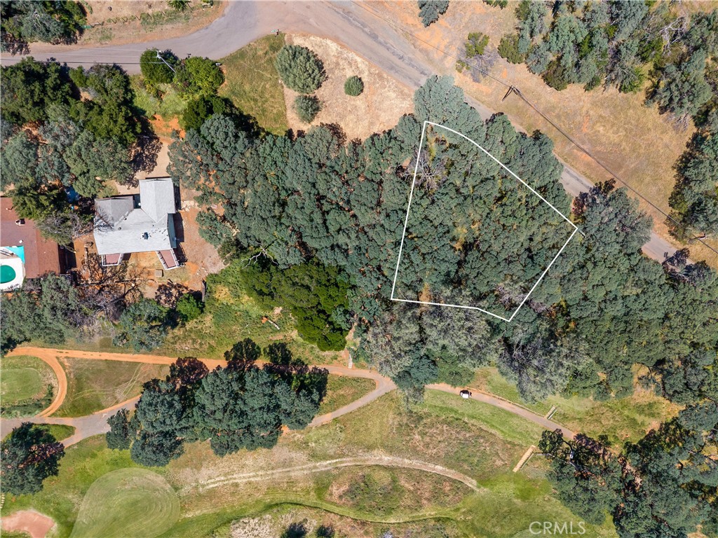8239 Little Borax Lake Rd Property Photo 5