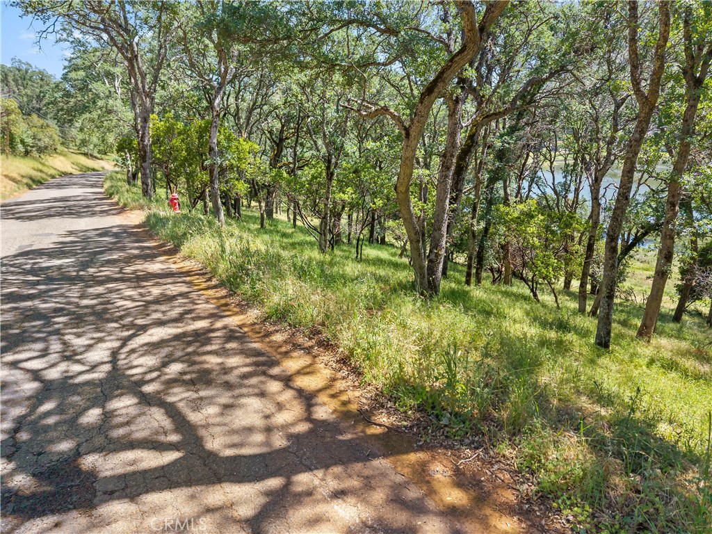 8239 Little Borax Lake Rd Property Photo 6